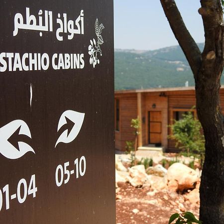 Ajloun Forest Reserve Ceraş Dış mekan fotoğraf