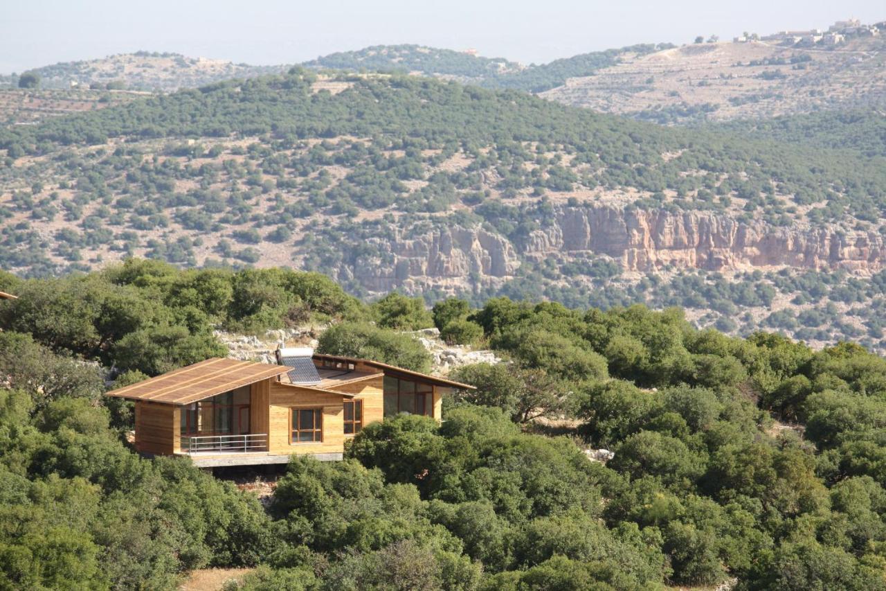 Ajloun Forest Reserve Ceraş Dış mekan fotoğraf
