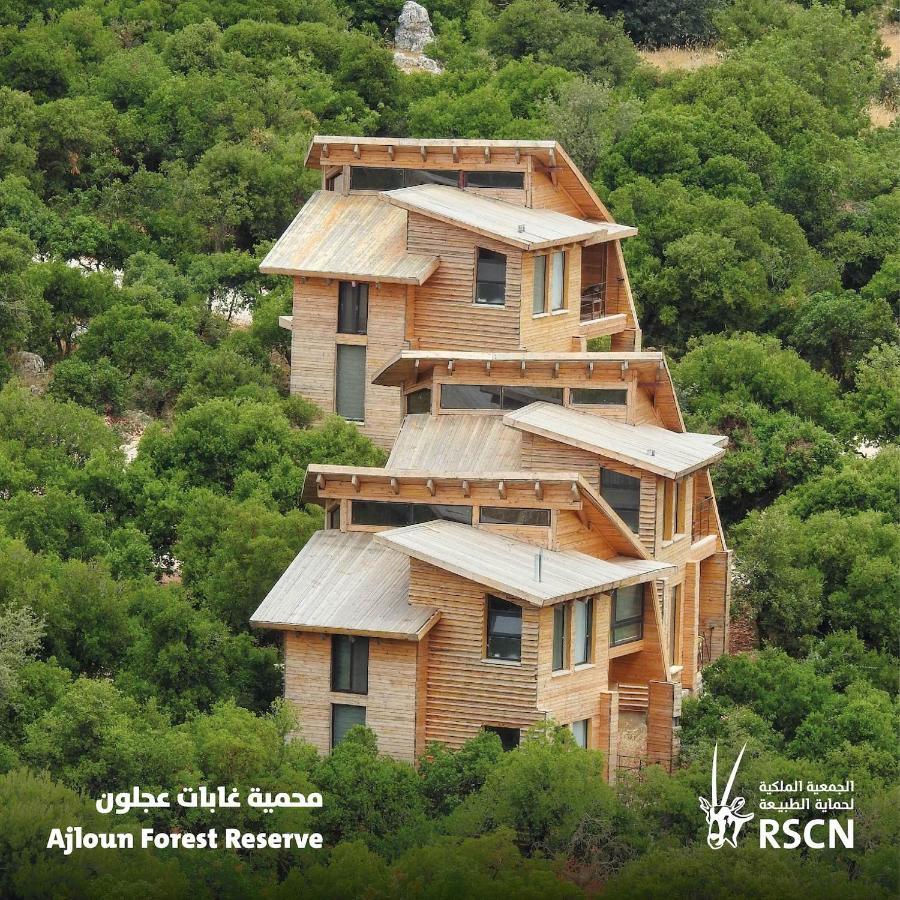 Ajloun Forest Reserve Ceraş Dış mekan fotoğraf