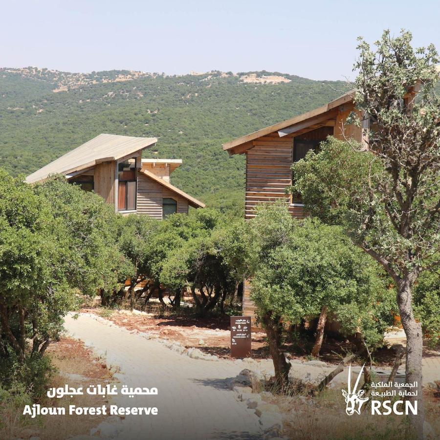 Ajloun Forest Reserve Otel Dış mekan fotoğraf