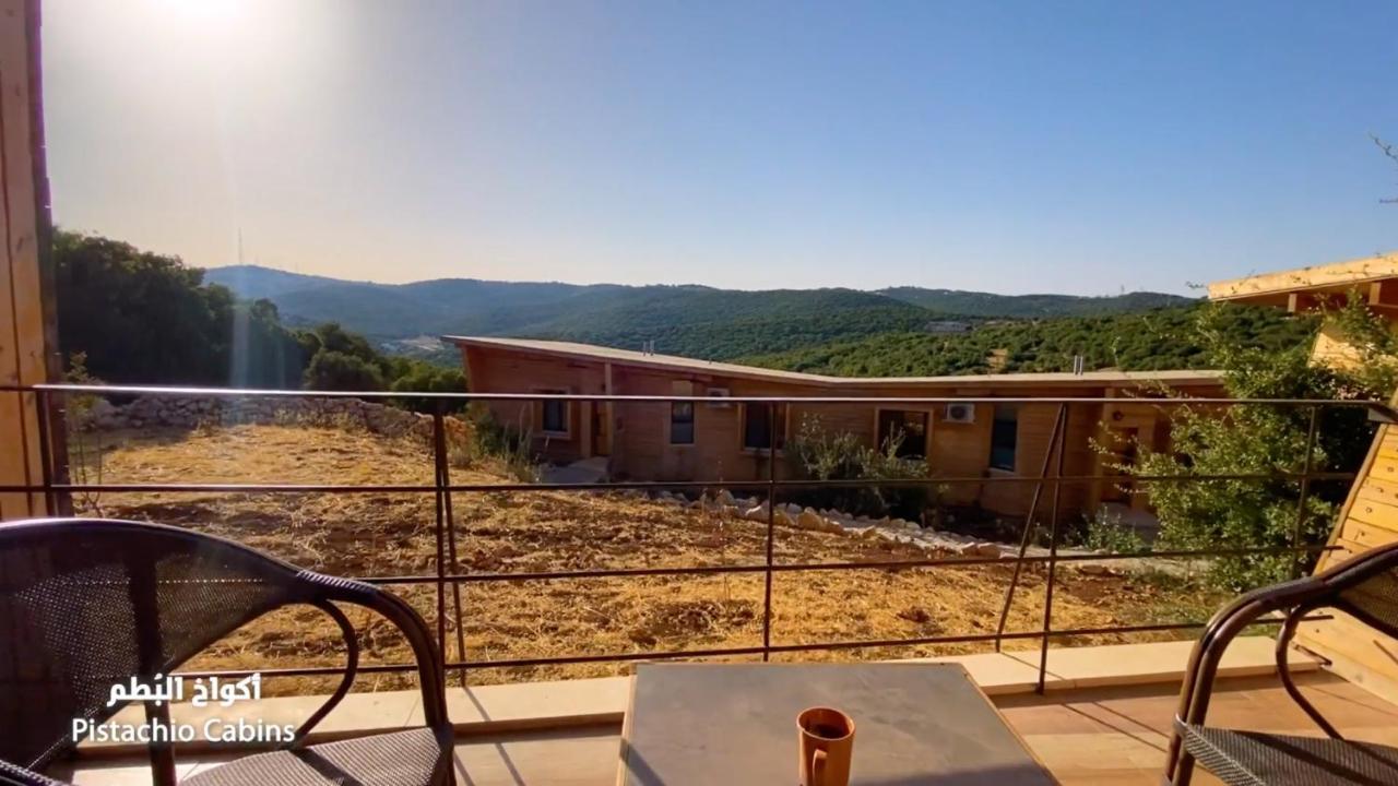 Ajloun Forest Reserve Ceraş Dış mekan fotoğraf