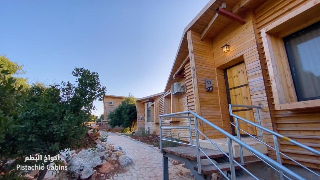 Ajloun Forest Reserve Ceraş Dış mekan fotoğraf