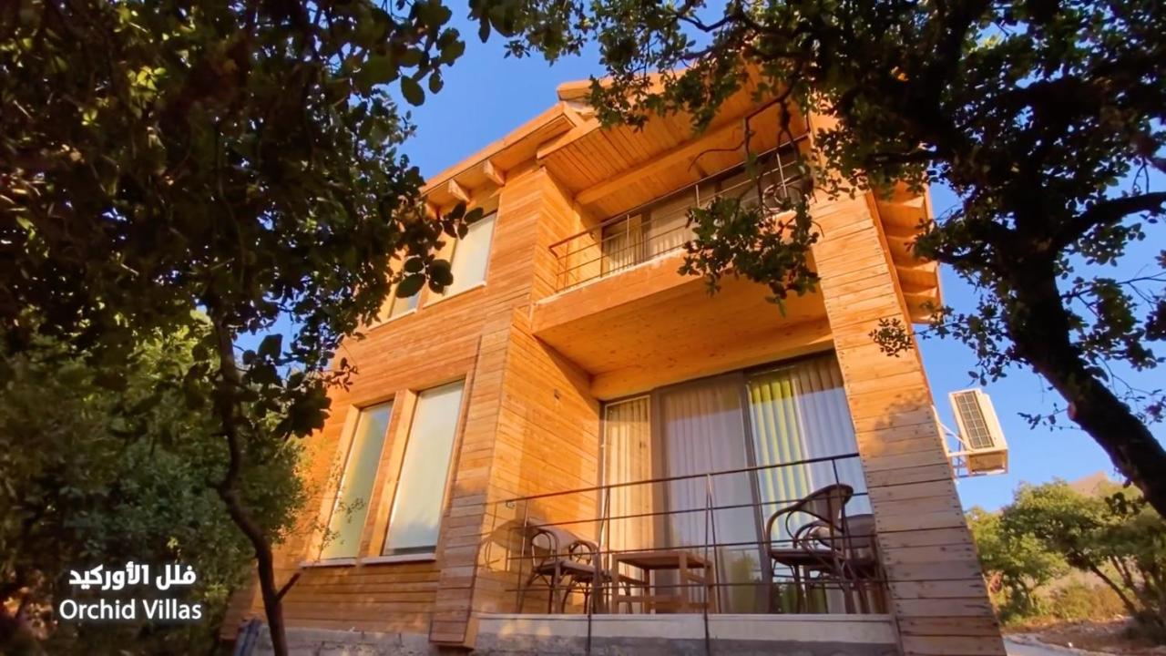 Ajloun Forest Reserve Ceraş Dış mekan fotoğraf