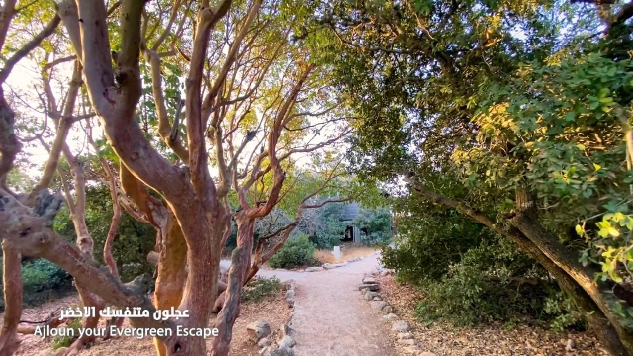 Ajloun Forest Reserve Otel Dış mekan fotoğraf