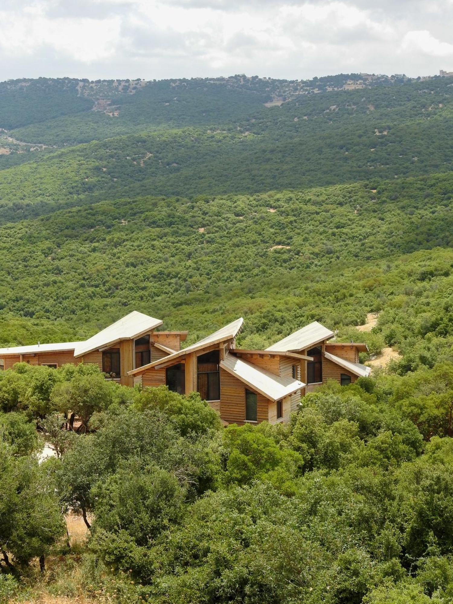 Ajloun Forest Reserve Ceraş Dış mekan fotoğraf