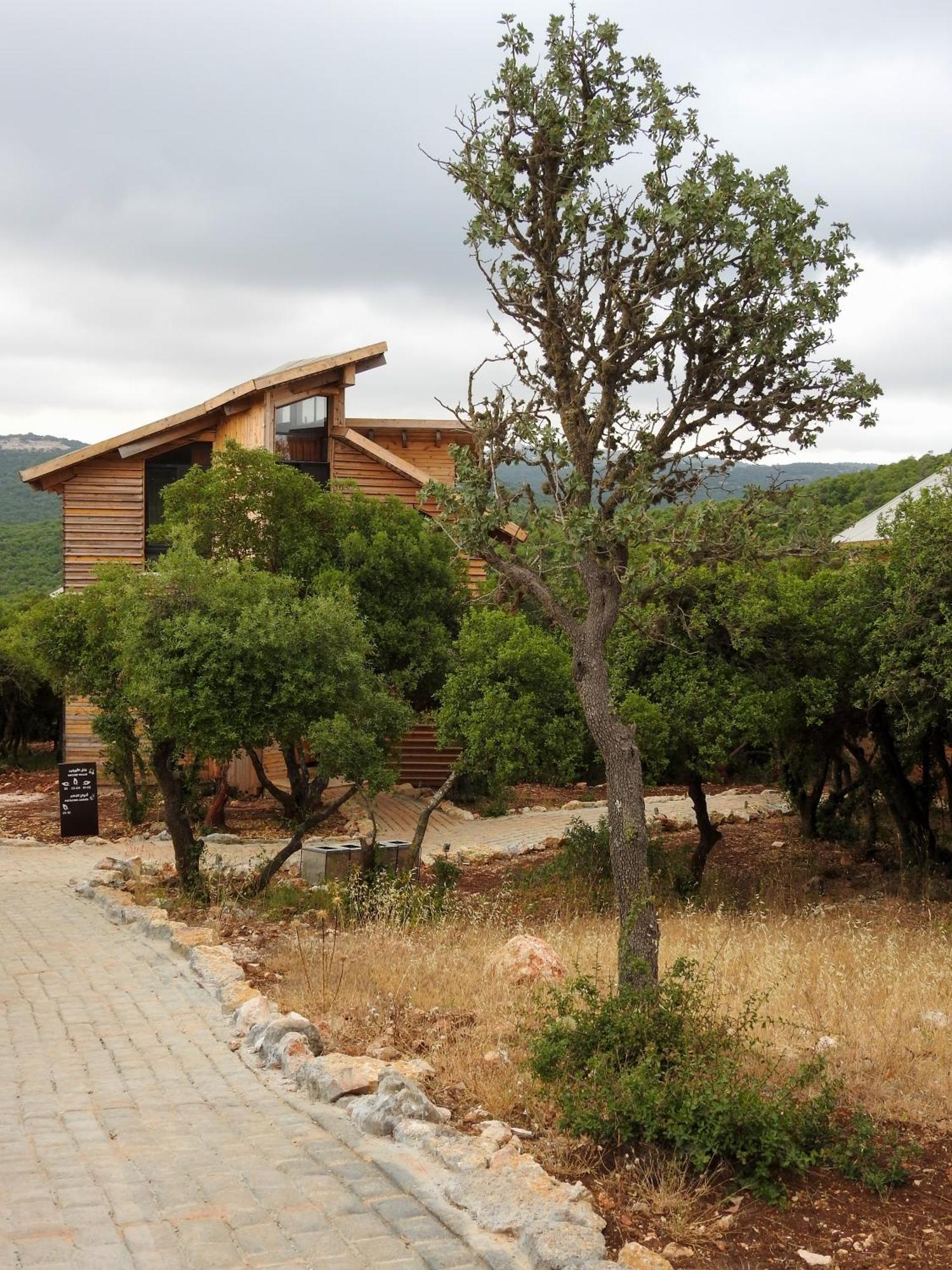 Ajloun Forest Reserve Ceraş Dış mekan fotoğraf