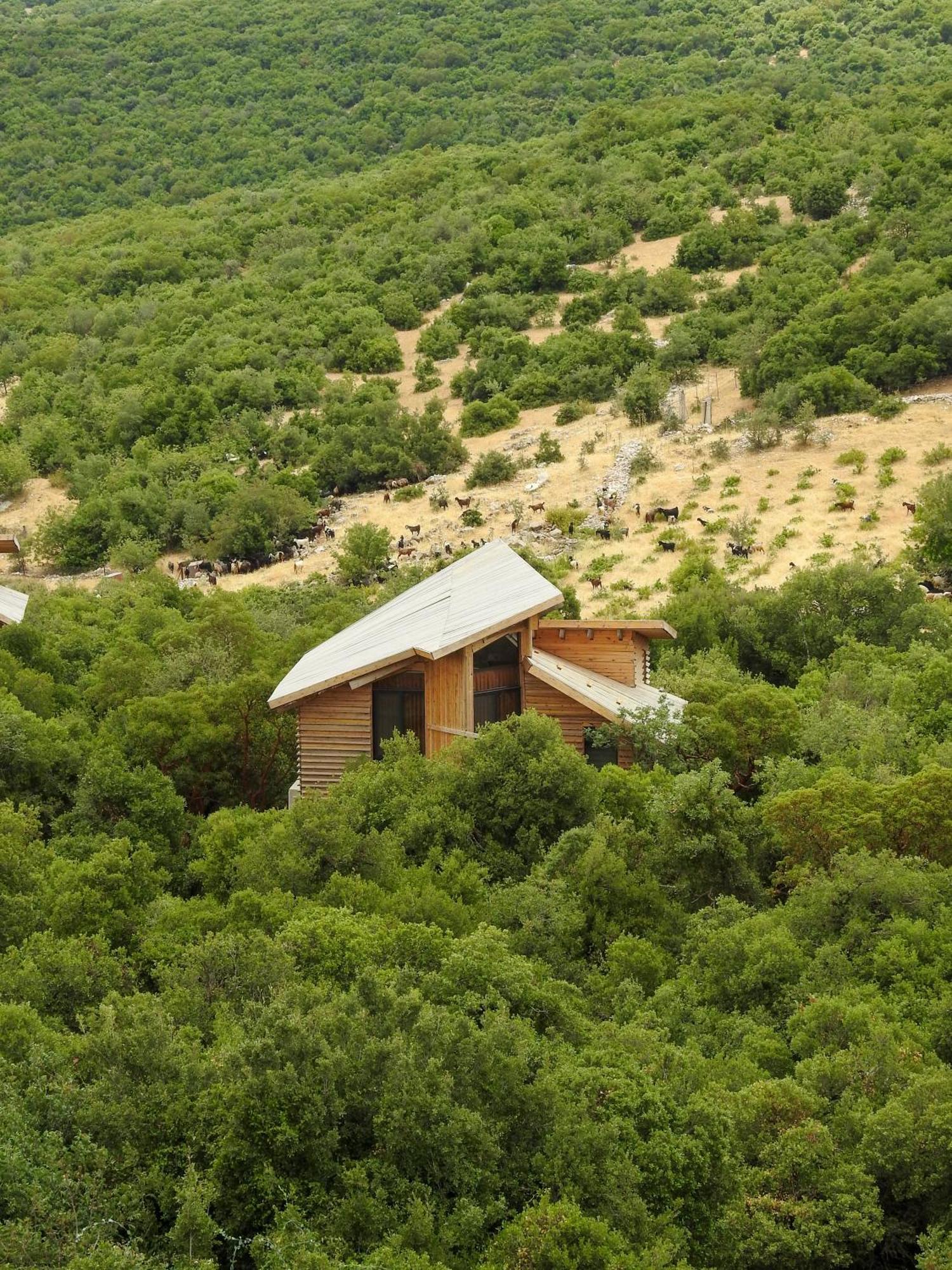 Ajloun Forest Reserve Ceraş Dış mekan fotoğraf