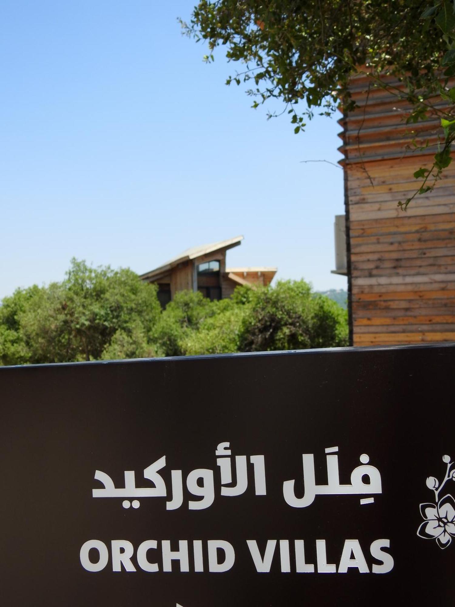 Ajloun Forest Reserve Ceraş Dış mekan fotoğraf