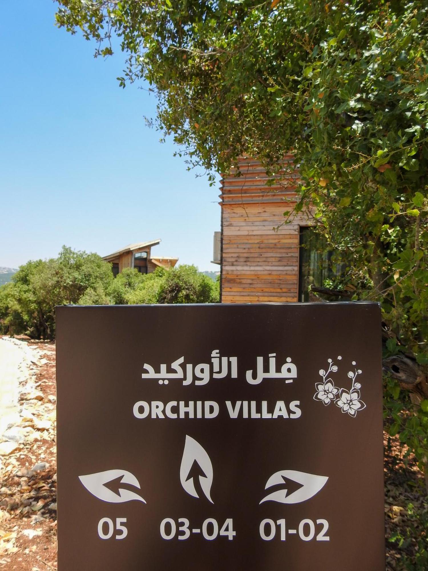 Ajloun Forest Reserve Ceraş Dış mekan fotoğraf