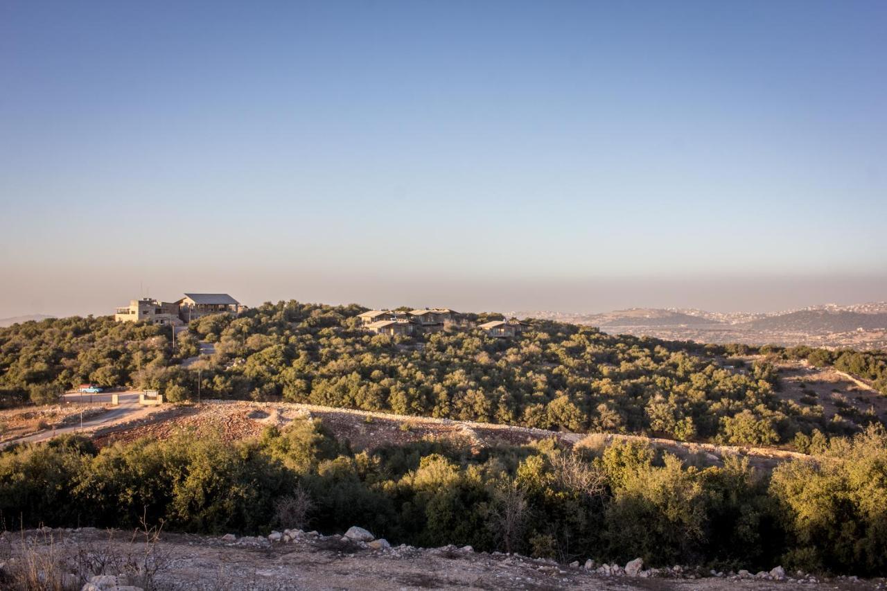 Ajloun Forest Reserve Ceraş Dış mekan fotoğraf