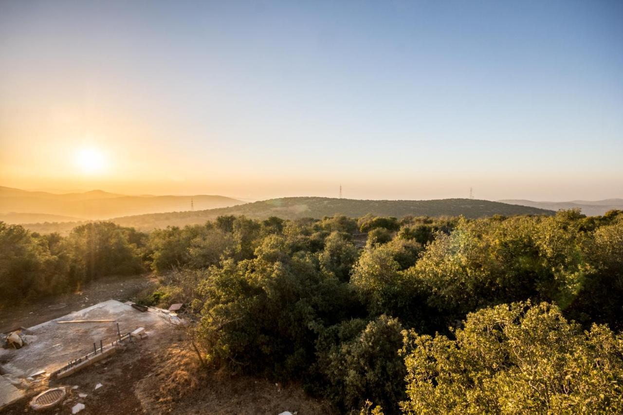 Ajloun Forest Reserve Ceraş Dış mekan fotoğraf