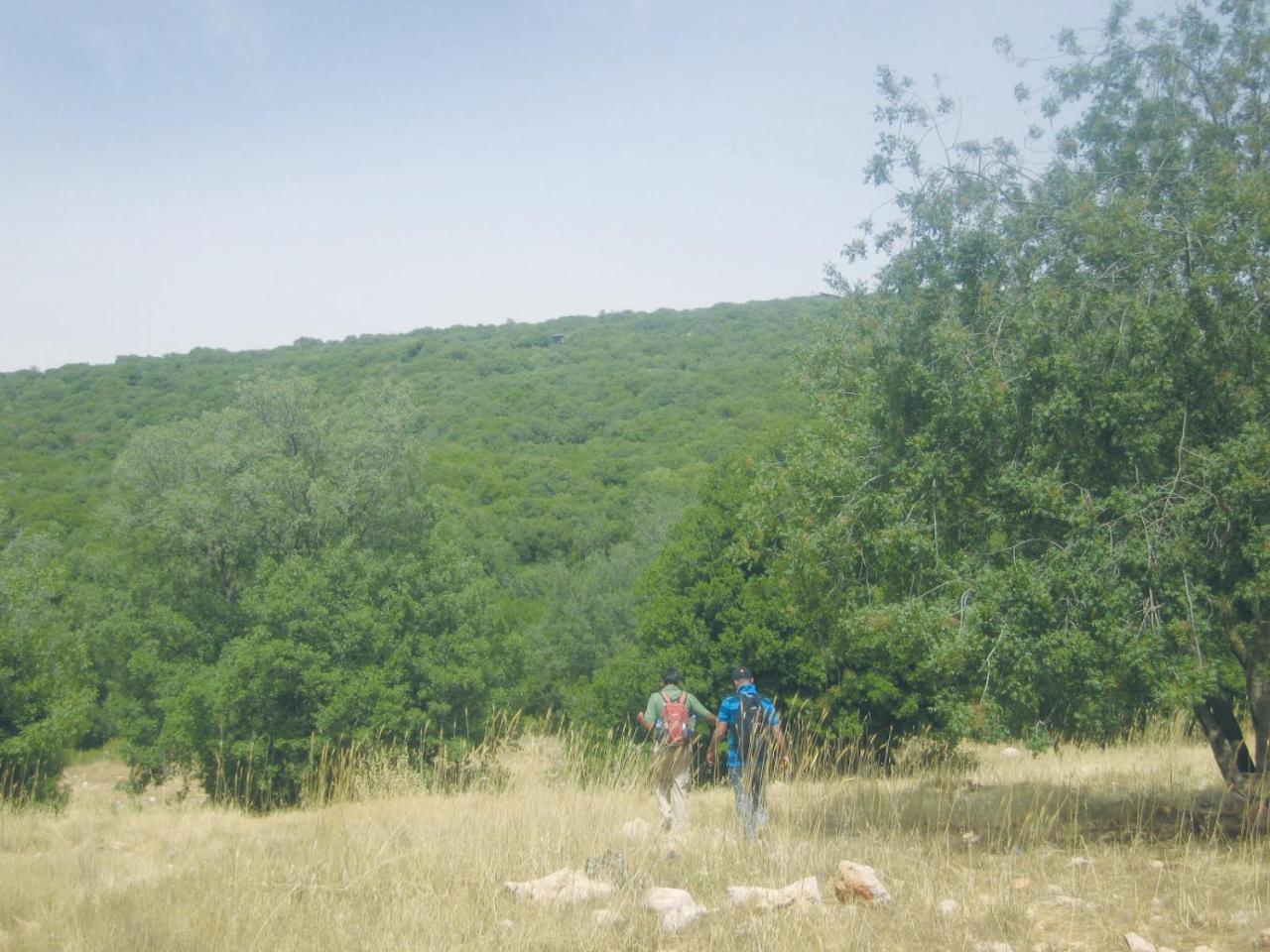 Ajloun Forest Reserve Otel Dış mekan fotoğraf