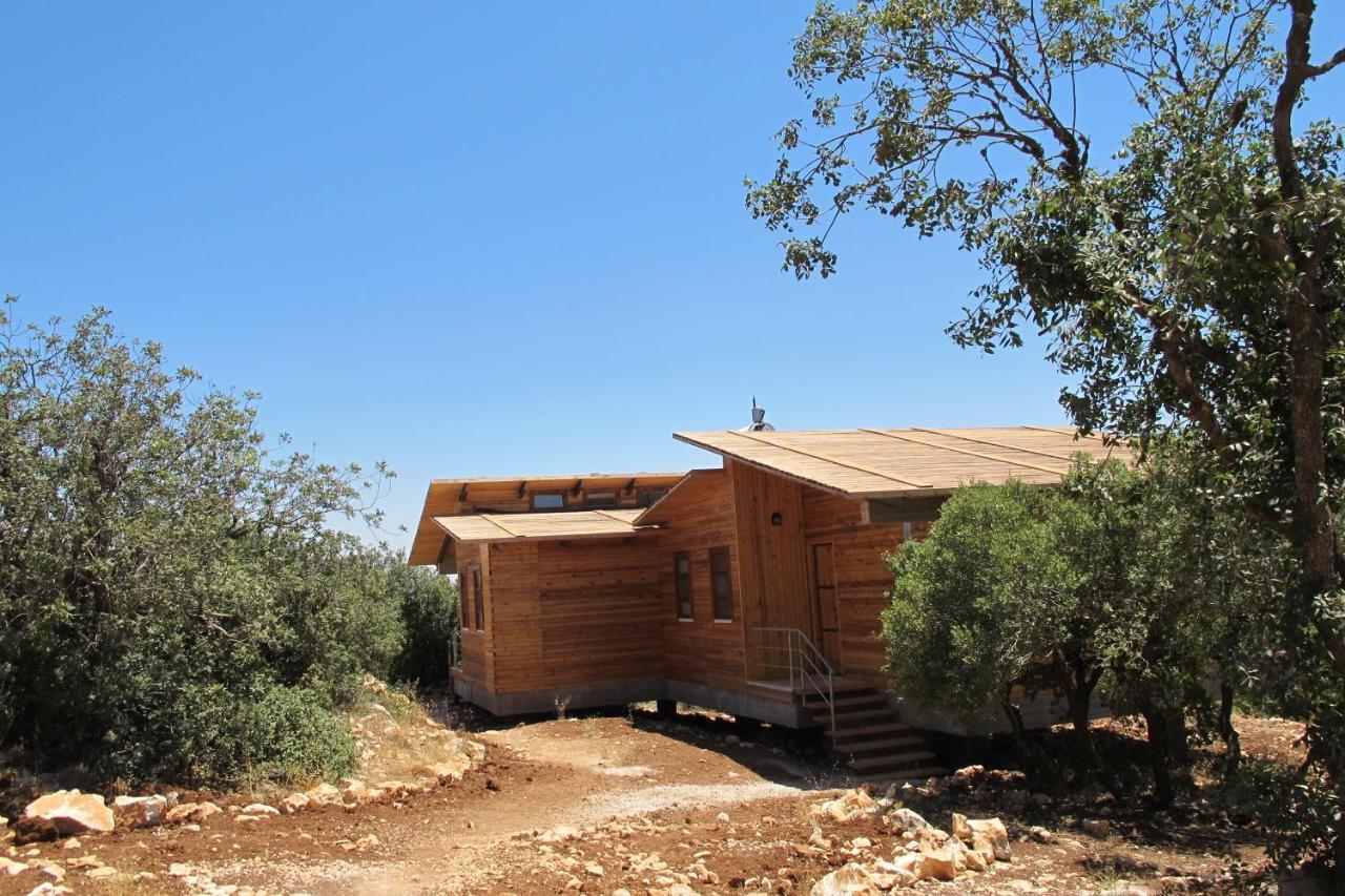 Ajloun Forest Reserve Ceraş Dış mekan fotoğraf