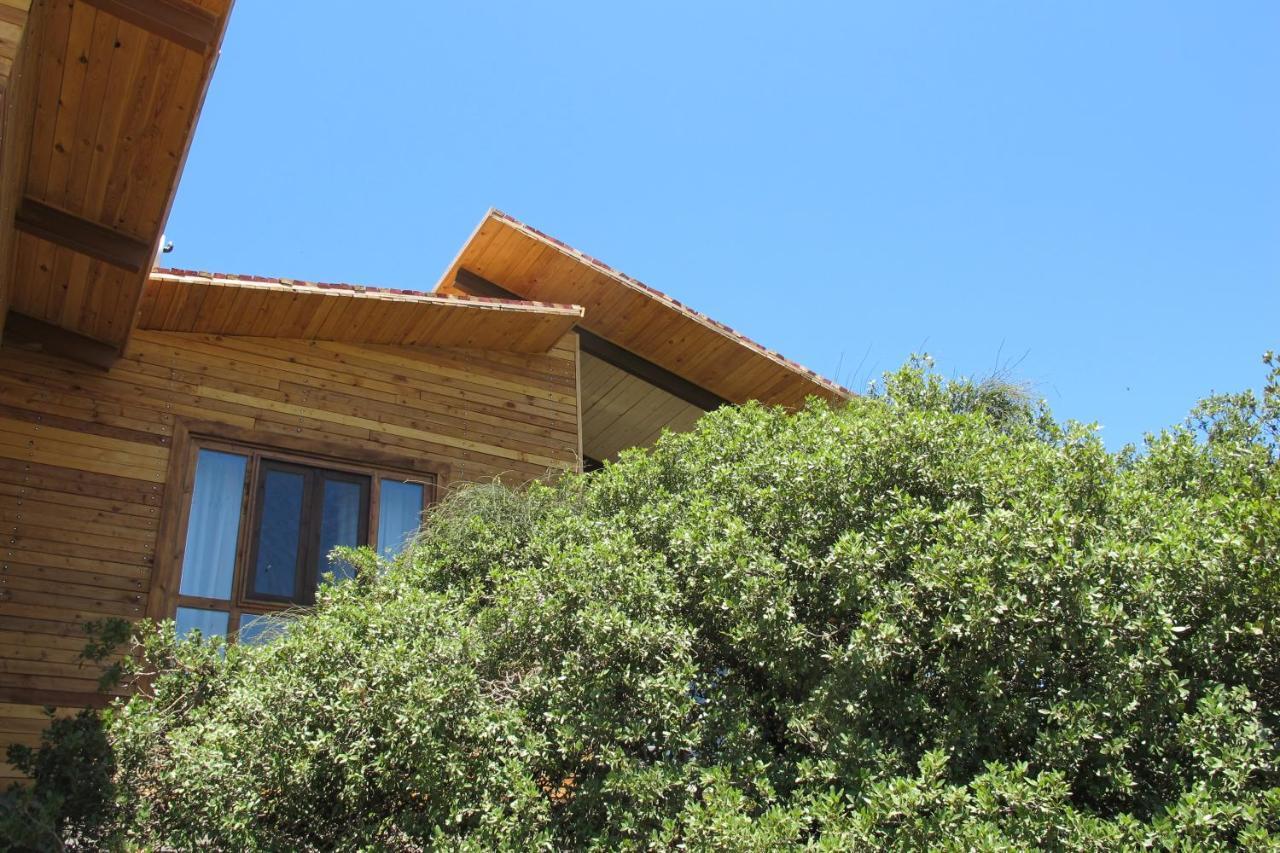 Ajloun Forest Reserve Ceraş Dış mekan fotoğraf