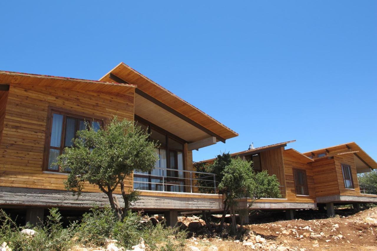 Ajloun Forest Reserve Otel Dış mekan fotoğraf