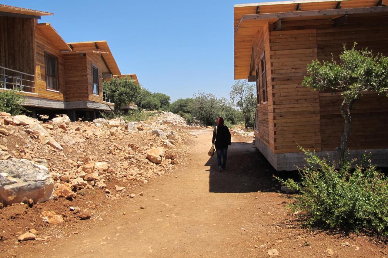 Ajloun Forest Reserve Otel Dış mekan fotoğraf