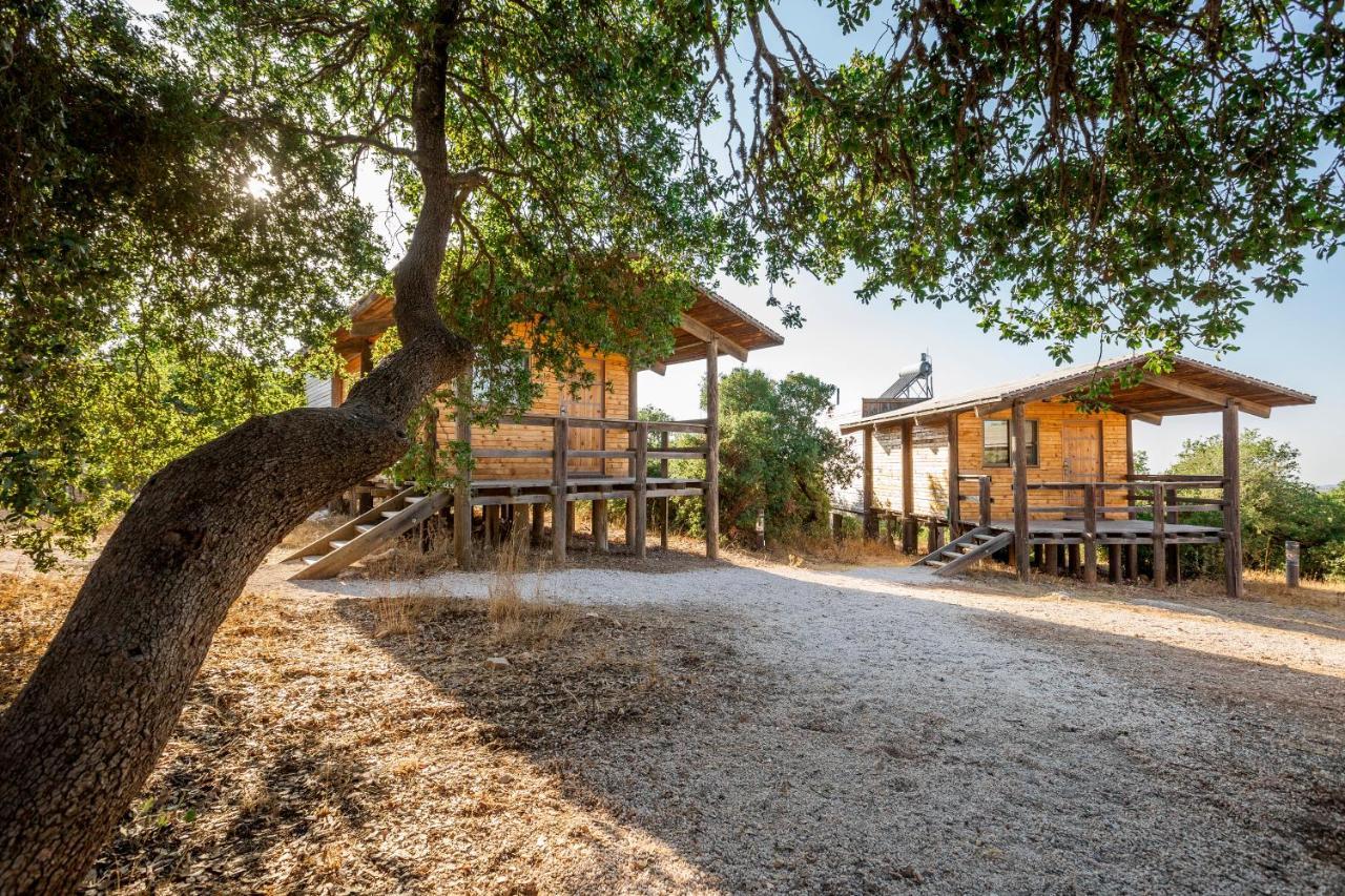 Ajloun Forest Reserve Ceraş Dış mekan fotoğraf